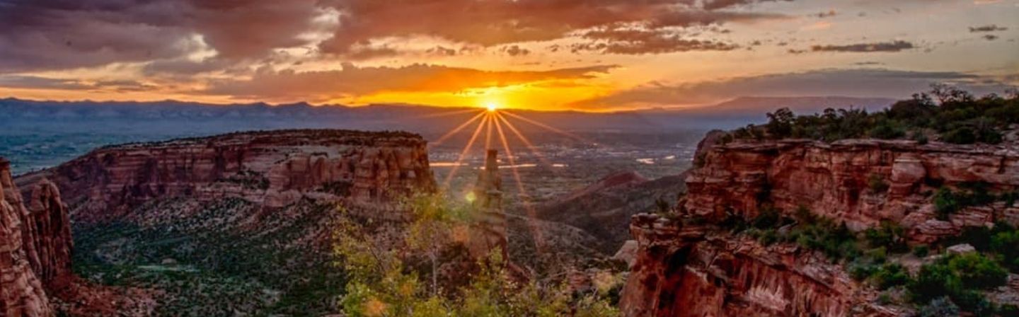 Wide Banner Walk to Success Marketing Walk to Success Marketing and Steve Attarian are in Grand Junction